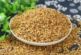 荞麦茶哪个牌子好？