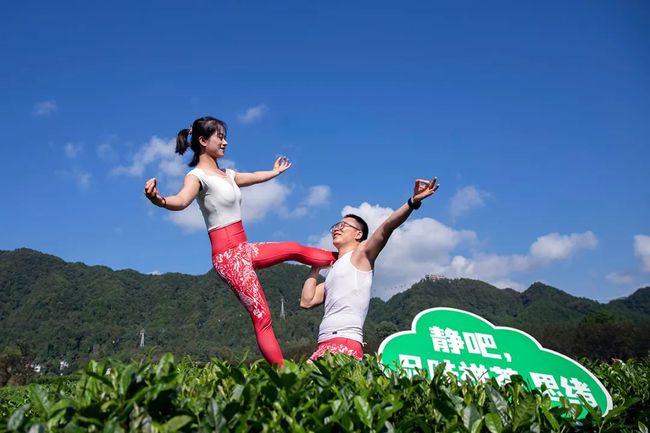 【凤冈旅游】打卡最美茶园 这个国庆假期来享受一段悠闲的茶旅时光