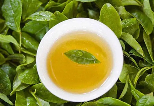 喝绿茶可以帮助减肥吗？喝绿茶帮助减肥