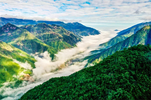 国家公园设立一年来｜武夷山国家公园：青山添绿 茶园飘香