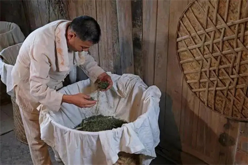 中国传统制茶技艺及其习俗申遗成功