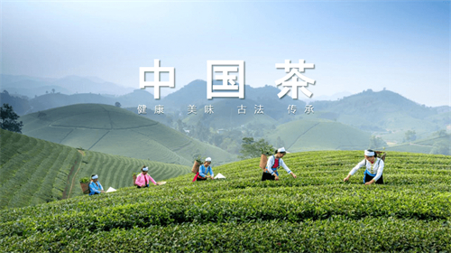 中国茶：一条流淌千年的文化之河
