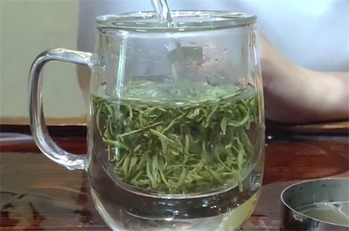 绿茶的功效 泡绿茶的正确方法