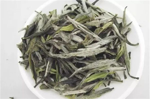 老白茶的陈香，是一种什么样的味道？