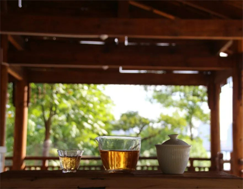 茶，是对四季记忆的收藏